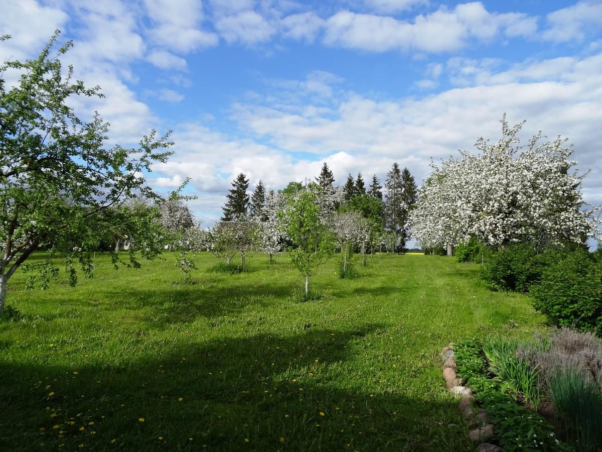 Загородные дома Raudonkalnis Mankiškiai-9