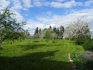 Загородные дома Raudonkalnis Mankiškiai-5